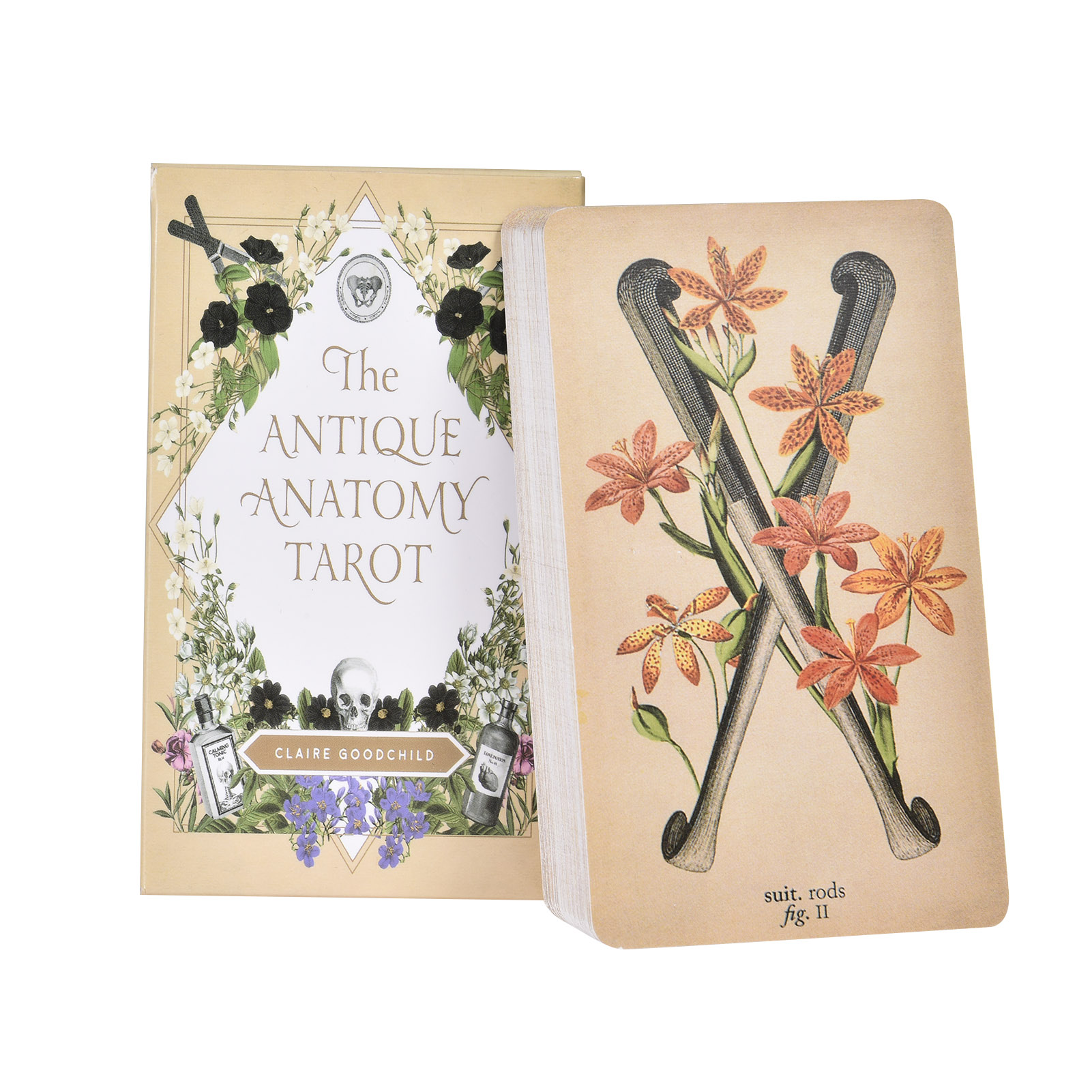 The Antique Anatomy Tarot Card - Board Game Oracle recension och pris
