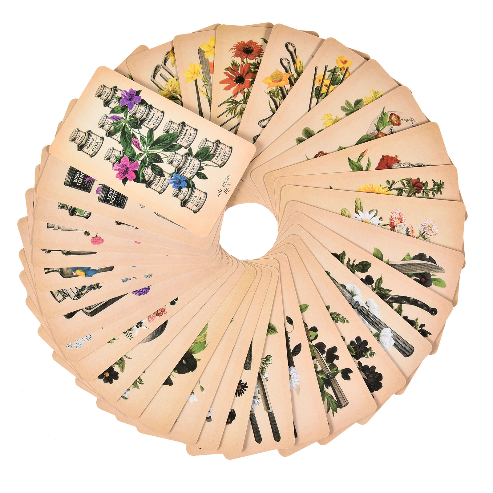 The Antique Anatomy Tarot Card - Board Game Oracle recension och pris